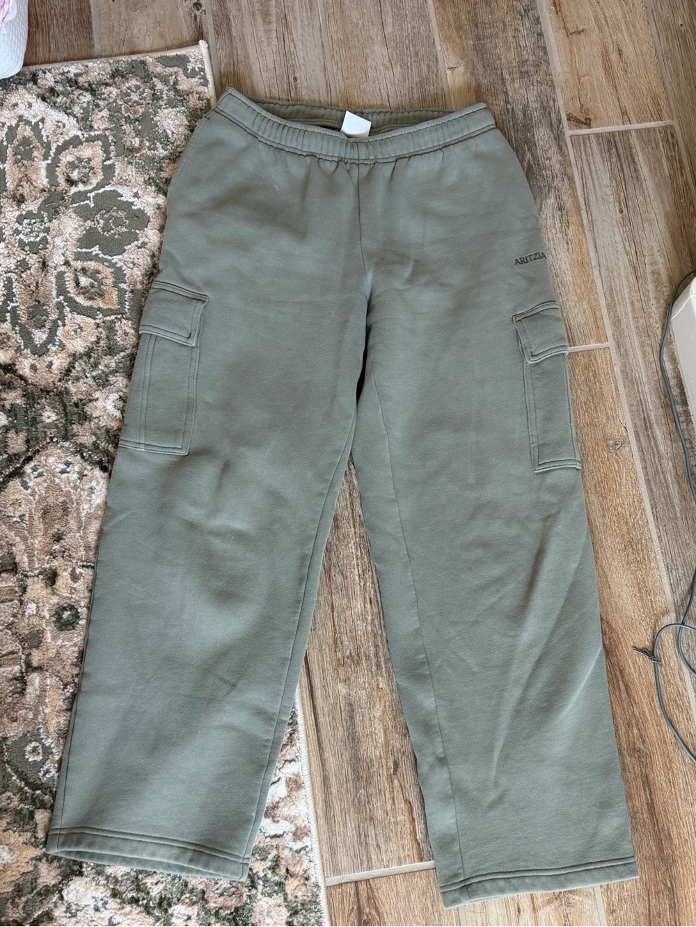 Aritzia Mega sweatfleece cargo sweatpants